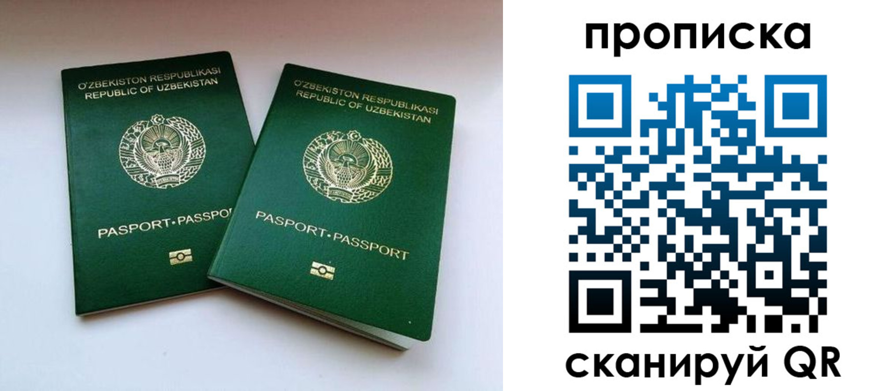 прописка поиск в Звенигово